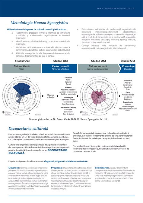 Schemă organizațională Aedificia Carpați S.A. cu rolurile de conducere și departamentele cheie