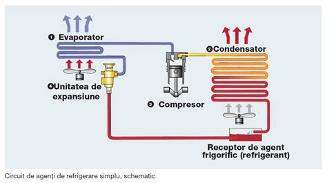 Diagrama simplificată a unui limitator de suprasarcină electronic pentru macarale, evidențiind componentele principale: senzor de sarcină, amplificator, afișaj digital și întrerupător de limită.