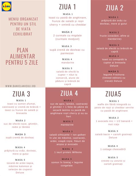 Ilustrație cu un meniu zilnic echilibrat pentru un copil de peste 1 an, cu accent pe fructe, legume și proteine slabe.