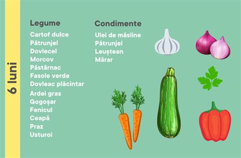 Infografic cu etapele diversificării, de la 6 luni la peste 1 an, arătând introducerea treptată a alimentelor și creșterea numărului de mese.