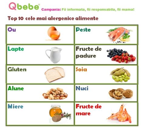 Ilustrație cu cele 8 alimente alergenice comune pentru bebeluși.