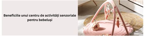 imagine cu cercul de activități senzoriale pentru bebeluși SES Creative, prezentând toate componentele sale