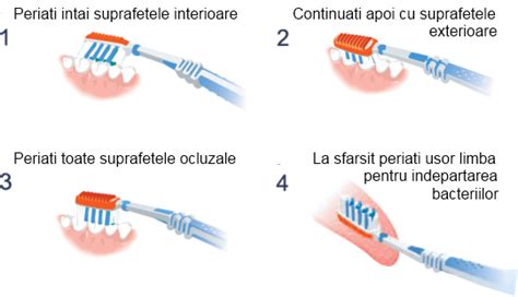 Infografic cu pașii corecți pentru periajul dentar la copii.