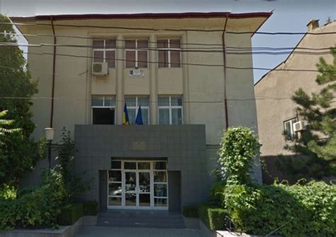 Organigramă simplificată a DGASPC Tulcea, cu evidențierea principalelor servicii de protecție socială.