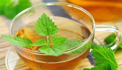 Infografie cu principalele beneficii ale ceaiului de urzică: antiinflamator, diuretic, bogat în nutrienți, benefic pentru prostată și inimă.