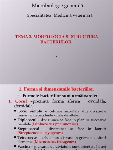 Infografic cu căile de transmitere a bacteriilor intestinale