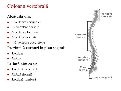 Schemă a coloanei vertebrale cu diferitele tipuri de deformări: scolioză, cifoză, lordoză.