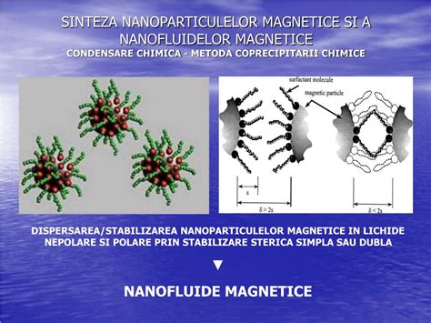 Schema unei nanoparticule magnetice cu miez-coajă și biomolecule antioxidante
