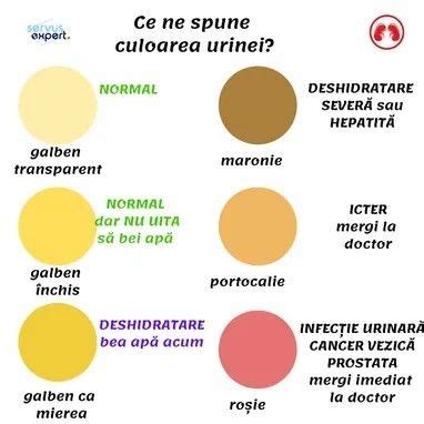 Fotografie cu o picătură de colostru, subliniind culoarea sa galbenă.