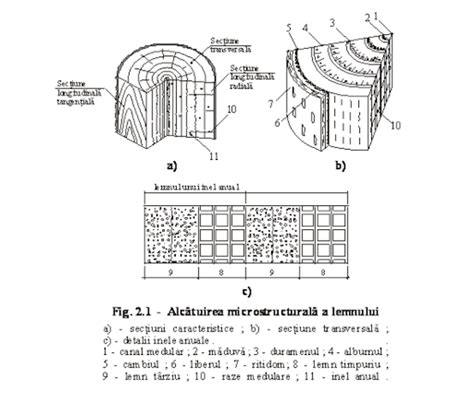 Ilustrație cu secțiunea transversală a unei perne antireflux, evidențiind materialele respirabile și structura de susținere.