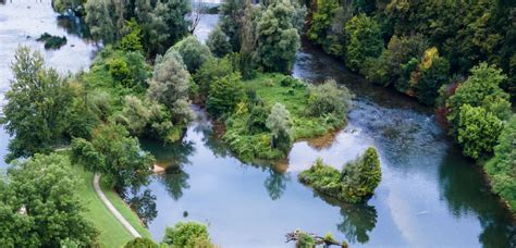 ilustrație cu bebeluș explorând mediul înconjurător la 9 luni