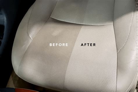 desen schematic cu mameloanele pisicii, arătând diferența înainte și după gestație