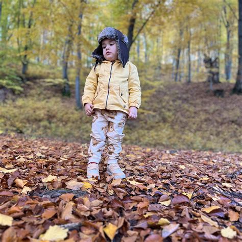 ilustrație cu sigla