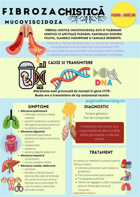 ilustrație a plămânilor unui copil cu fibroză chistică
