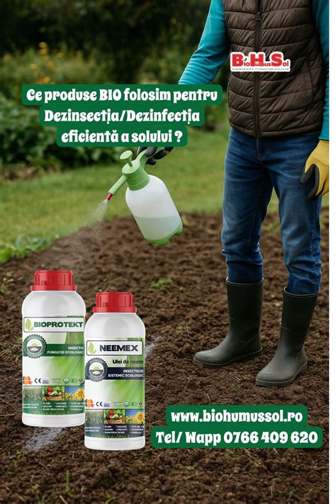 Infografic despre modul corect de aplicare a Betadinei pe o zonă afectată, subliniind diluția și igiena.