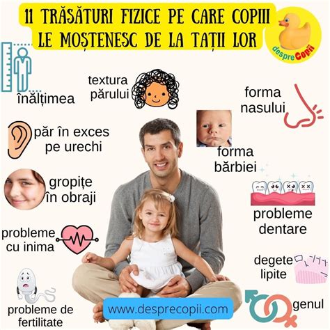 infografic care ilustrează fluxul de resurse de la tată la copil, bazat pe recunoașterea paternității