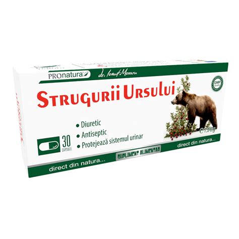 Diagrama care ilustrează compușii activi din frunzele de Strugurii Ursului și acțiunea lor asupra tractului urinar.