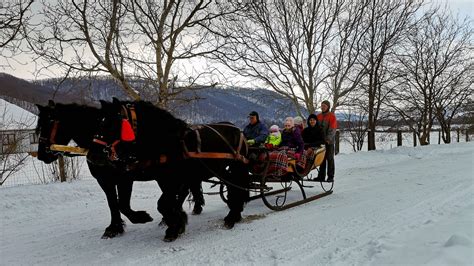 o sanie trasă de cai, încărcată cu obiecte grele