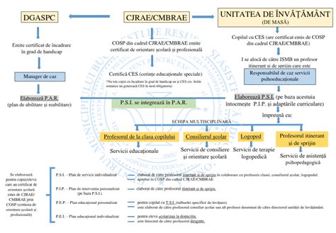 Infografic cu etapele vaccinării copiilor conform schemei naționale.