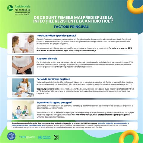 infografic cu zonele corpului predispuse la vergeturi în sarcină