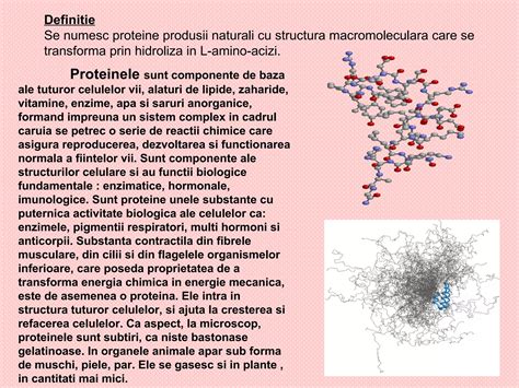 infografic cu valorile nutriționale ale amarantului, evidențiind proteinele, fibrele și mineralele