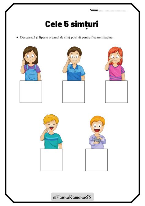 Infografic simplu care ilustrează cele 5 simțuri (văz, auz, miros, gust, tactil) și cum se dezvoltă la 2 ani.