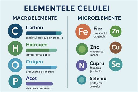 infografic cu macro și microelementele esențiale pentru plante