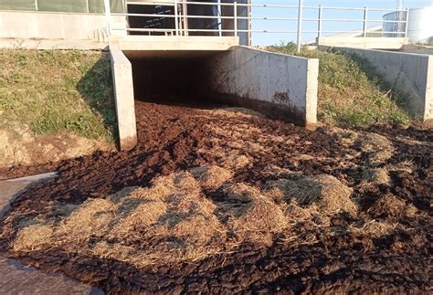 imagini cu diferite tipuri de compost și gunoi de grajd