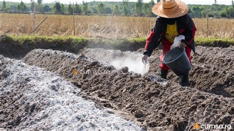 secvență foto: testarea afânării solului cu mâna
