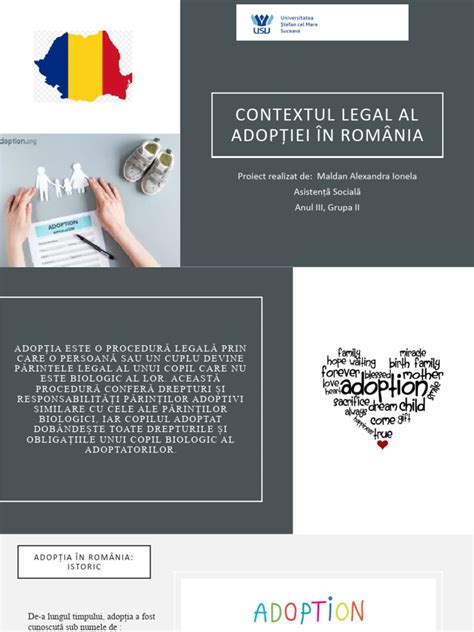 Infografic: Pașii procesului de adopție