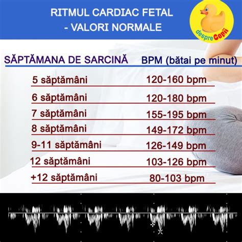 grafic cu variația ritmului cardiac fetal în funcție de săptămâna de sarcină