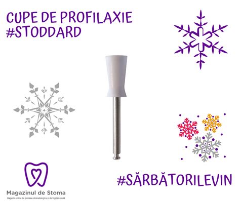 Infografic cu structura dinților și gingiilor sănătoase