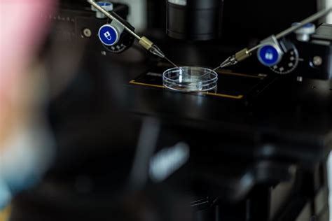 infografic explicând procesul de crioprezervare a embrionilor