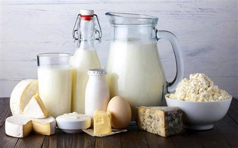 Imagine cu diverse produse lactate: lapte, iaurt, brânzeturi.