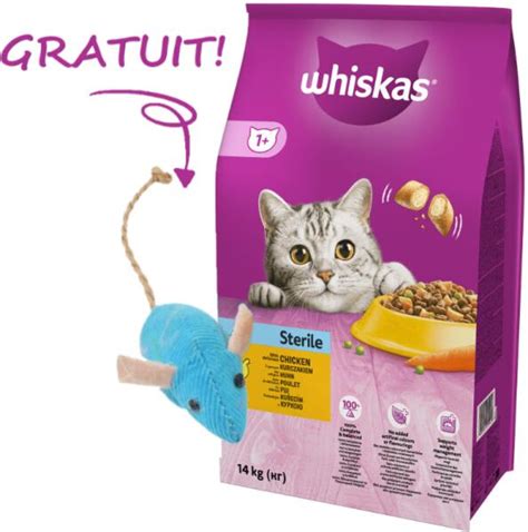 infografic cu scala IMC pentru pisici