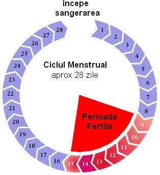 Ilustrație stilizată a calendarului, sugerând metoda de contracepție bazată pe zile.
