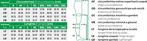 infografic cu punctele de masurare pentru determinarea marimii corecte a ciorapilor compresivi