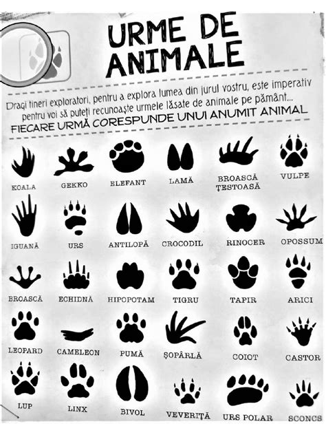 comparatie vizuala intre urme normale si urme ingrijoratoare lasate de sosete