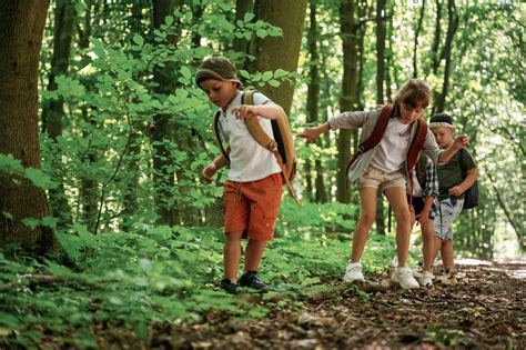 Infografic cu trăsăturile unui lider de echipă eficient