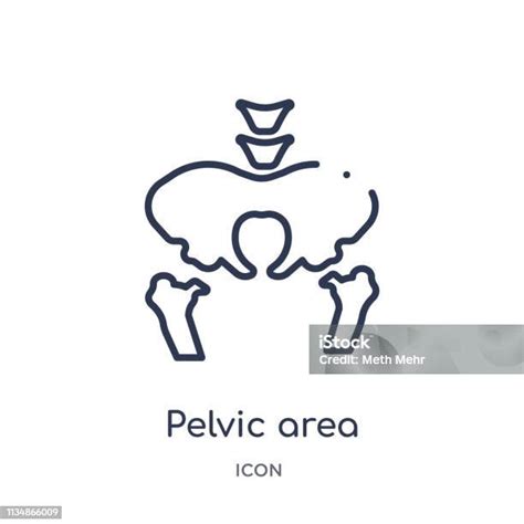 Ilustrație a examinării pelvine cu speculum