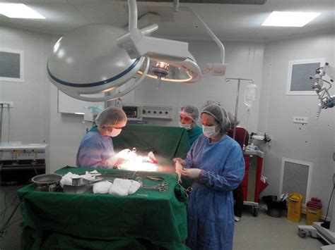 Infografic comparativ al metodelor chirurgicale minim invazive