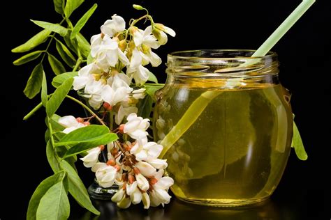 ilustrație cu diverse produse preparate din flori de salcâm (ceai, dulceață, sirop)