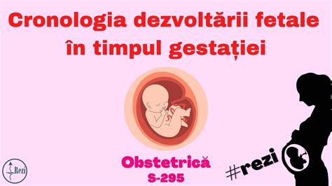 schemă a dezvoltării auditive fetale, evidențiind săptămânile de gestație și capacitățile auditive