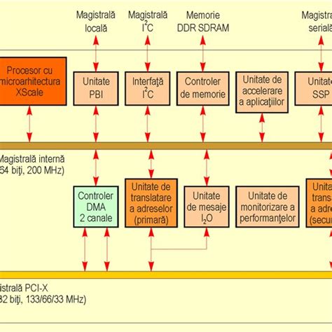 Schemă explicativă a procedurii EEG