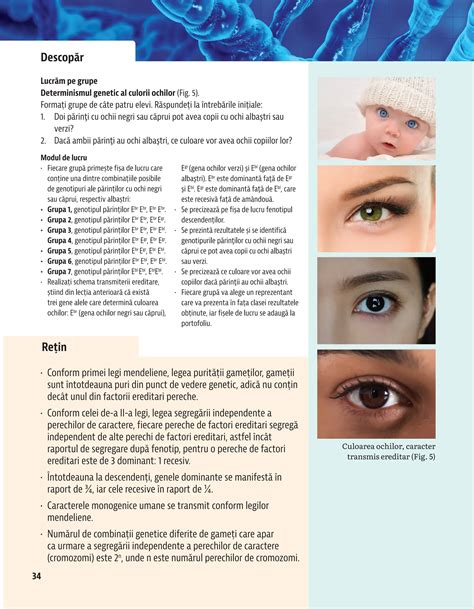 infografic cu etapele de schimbare a culorii ochilor la bebeluși