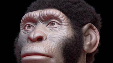 Infografic comparativ al diferitelor sisteme de moștenire de-a lungul istoriei și în diverse culturi.