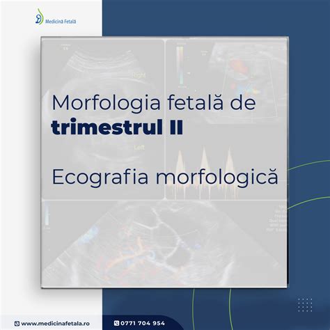 Diagrama indicând etapele ecografiei fetale pe trimestrele de sarcină