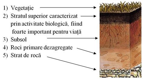 comparație vizuală între sol lucrat prin arătură convențională și sol lucrat prin tehnologia no-till