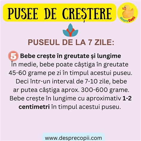Infografic cu articolele de hrănire ale bebelușului care necesită curățare zilnică.