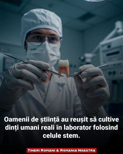 Ilustrație cu tehnologie de laborator avansată